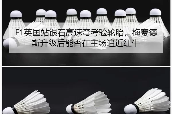 ying-guo-zhan-yin-shi-gao-su-wan-kao-yan-lun-tai-mei-sai-de-si-sheng-ji-hou-neng-fou-zai-zhu-chang-zhui-jin-hong-niu-3-747.jpg
